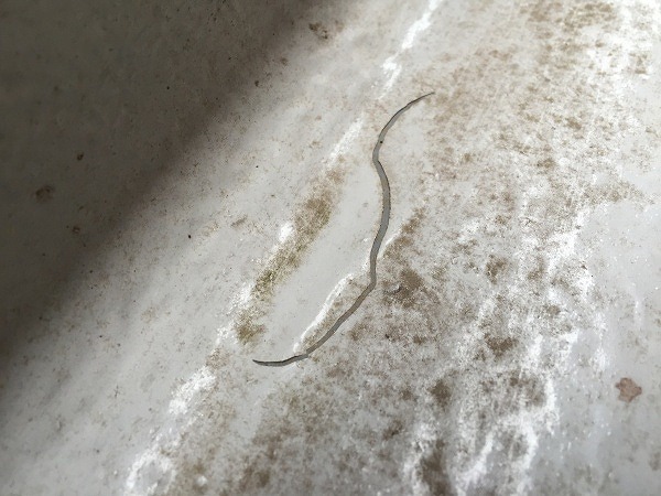 防水工事もご相談ください